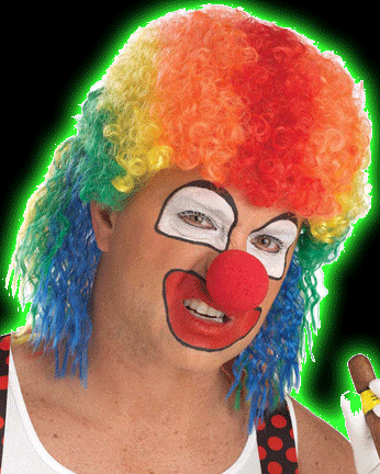 Clown Mullet Wig