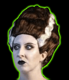 Bride of Frankenstein Adult Wig tt