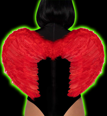 Red Feather Wings