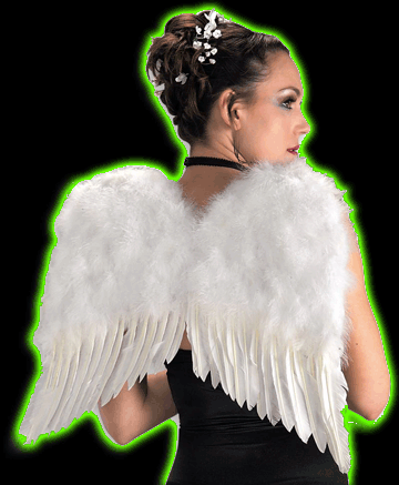 Deluxe White Feather Wings