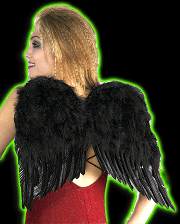 Deluxe Black Feather Wings