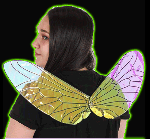 Holographic Costume Insect Bee Fly Wings for Adults and Kids