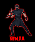 Mens Ninja Costumes