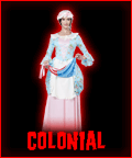 Womens Colonial Costumes 